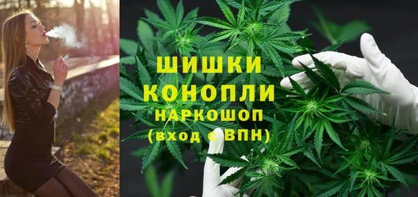 Альфа ПВП Белокуриха