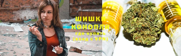 Альфа ПВП Белокуриха