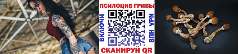 mega вход  Реутов  Галлюциногенные грибы Psilocybine cubensis  магазин продажи наркотиков 